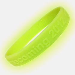 Glow In The Dark Wristband